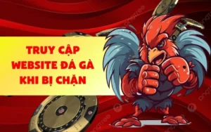 Tìm hiểu nguyên nhân website đá gà bị chặn